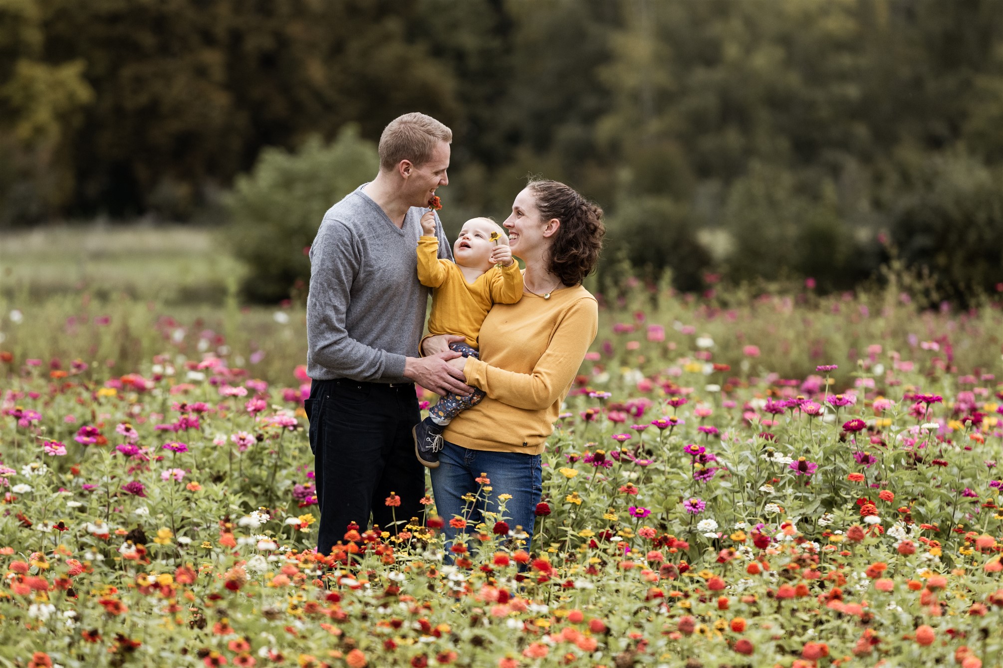 Familien Fotoshooting in Basel - Familienfotoshooting inmitten von einem Blumenfeld