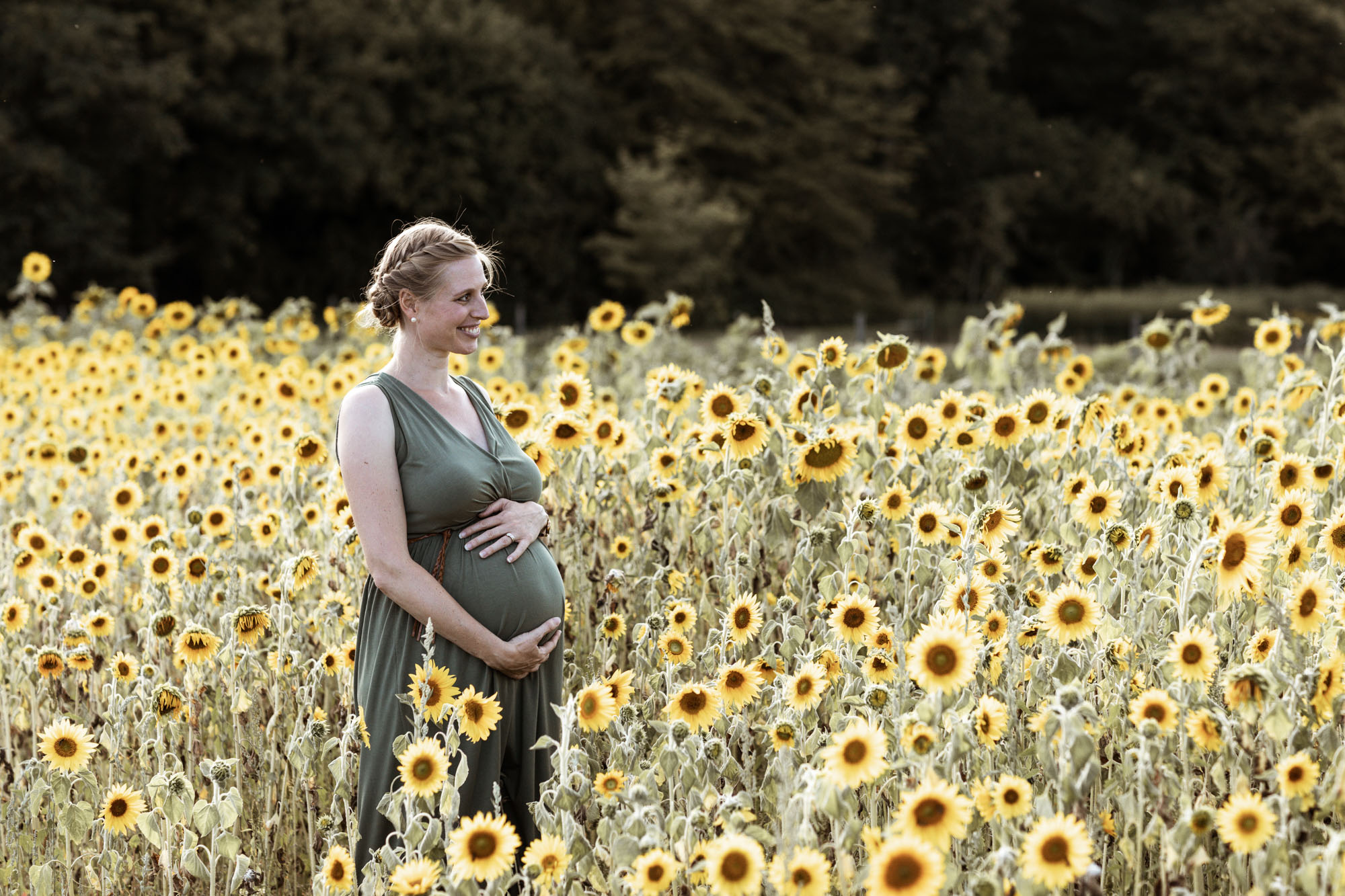 Babybauch und Familienfotoshooting in den Merian Gärten - Die werdende Mama im Sonnenblumenfeld