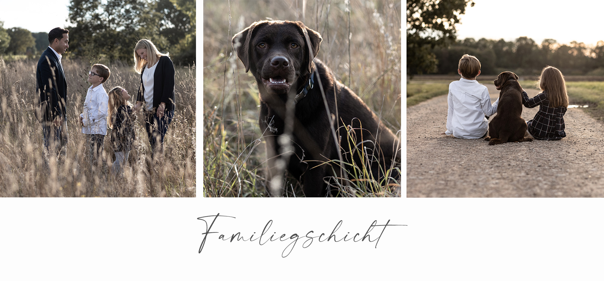 Familien Fotoshooting Fotograf Basel - Familienfotoshooting mit Kinder und Hund in der Natur