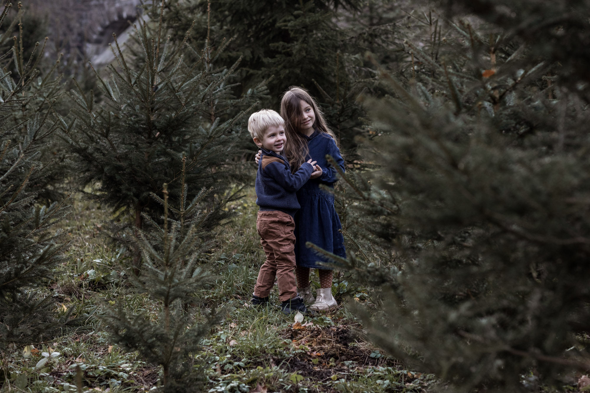 weihnachtliches Familien Fotoshooting in einem Tannenwald - Fotograf Nicole.Gallery aus Basel