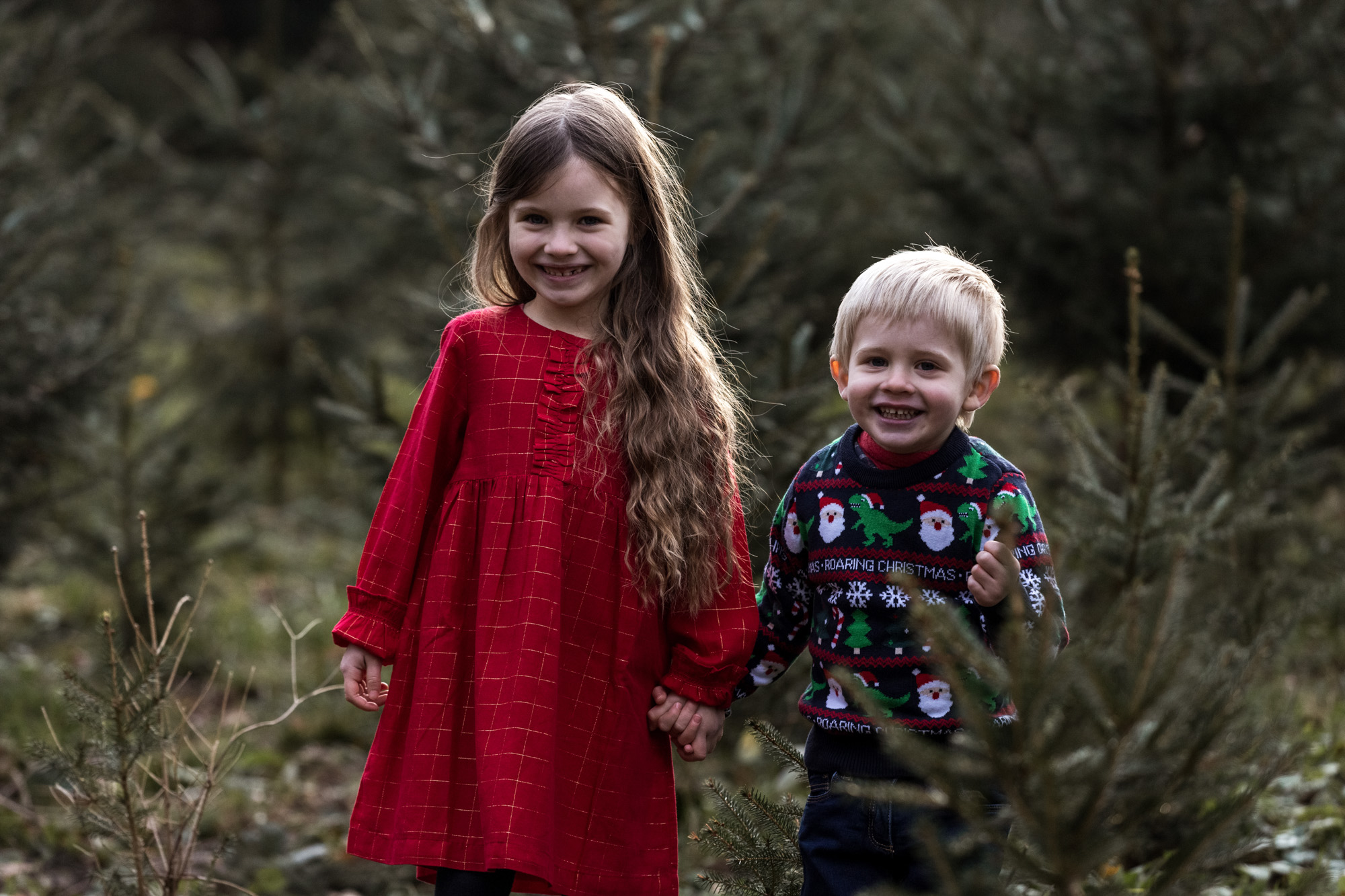 weihnachtliches Kinder Fotoshooting in einem Tannenwald - Fotograf Nicole.Gallery aus Basel