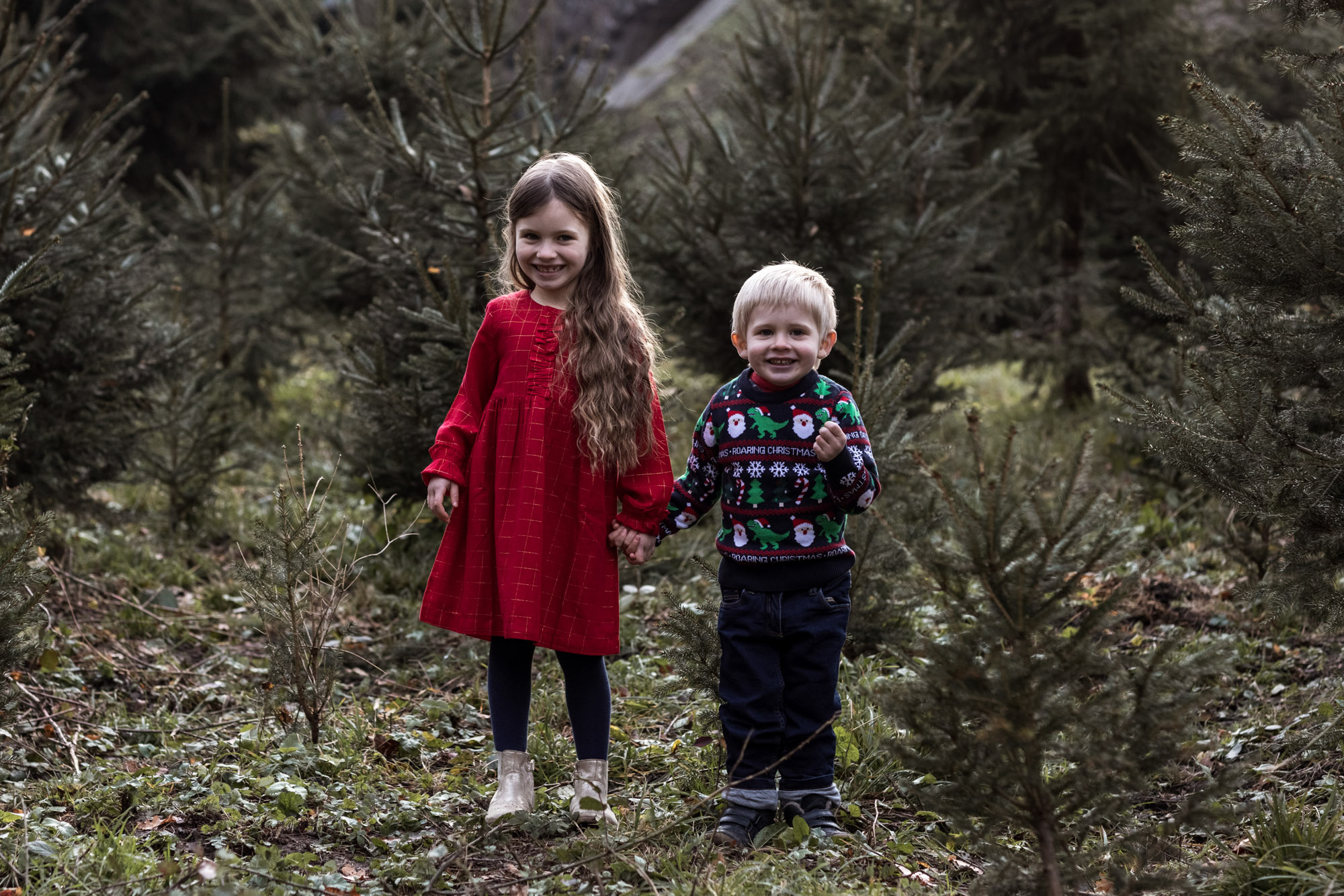 weihnachtliches Kinder Fotoshooting in einem Tannenwald - Fotograf Nicole.Gallery aus Basel