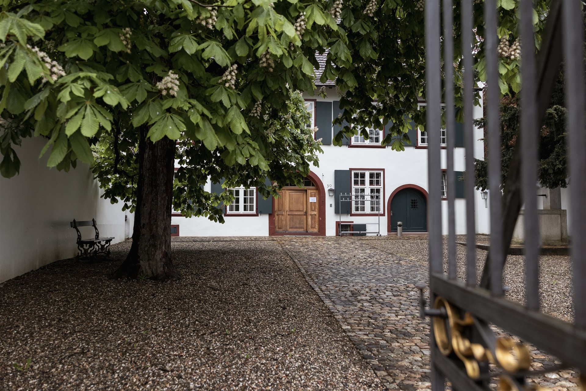 Lüscherhaus in Riehen - Ziviltrauung - Hochzeitsfotograf Basel Schweiz