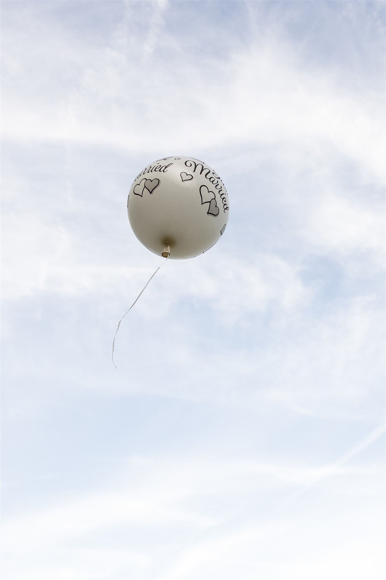 Hochzeit in den Merian Gärten - Hochzeitsballon - Hochzeitsfotograf Basel Schweiz