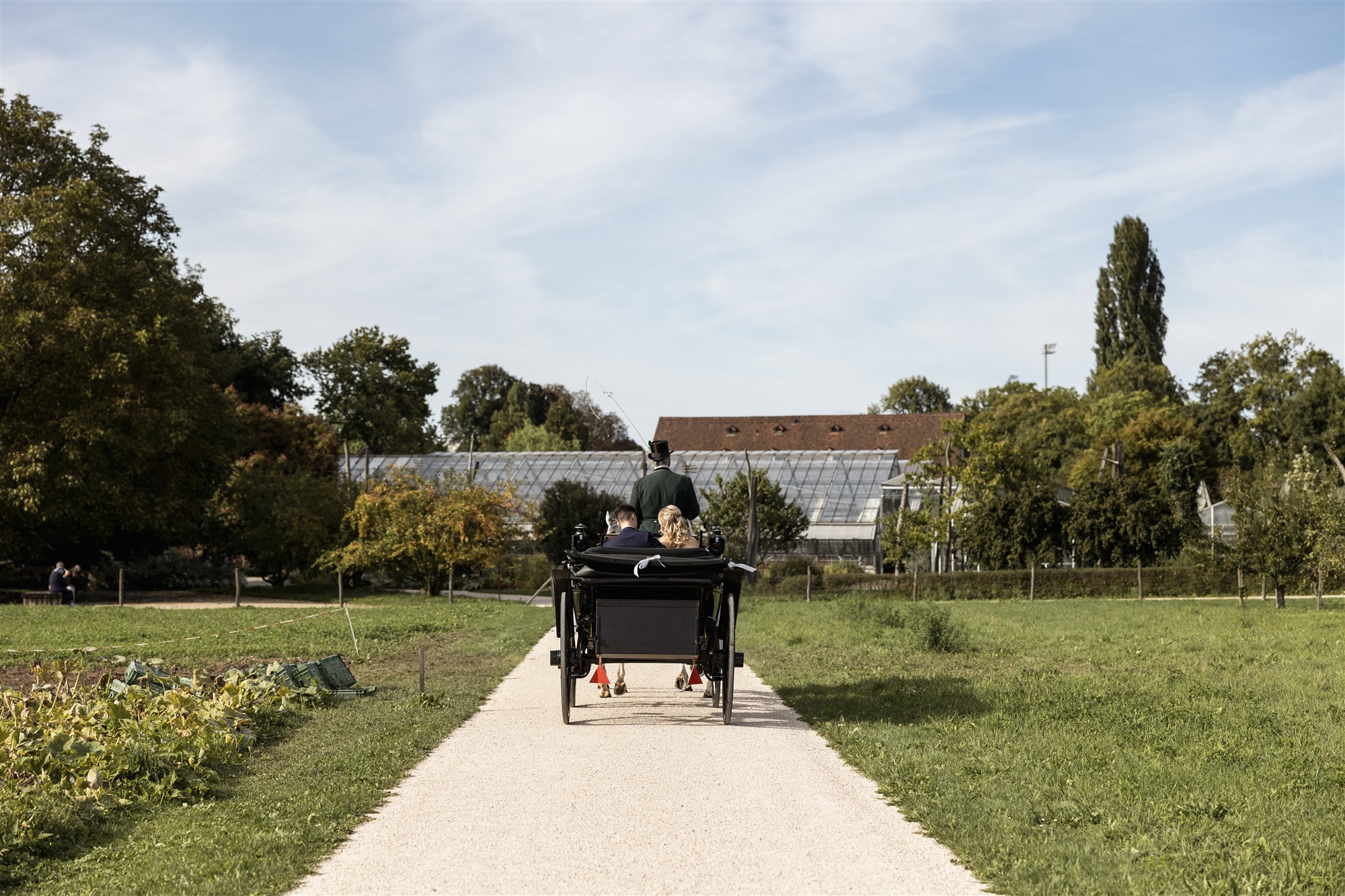 Hochzeit in den Merian Gärten - das Hochzeitspaar in der Pferdekutsche - Hochzeitsfotograf Basel Schweiz