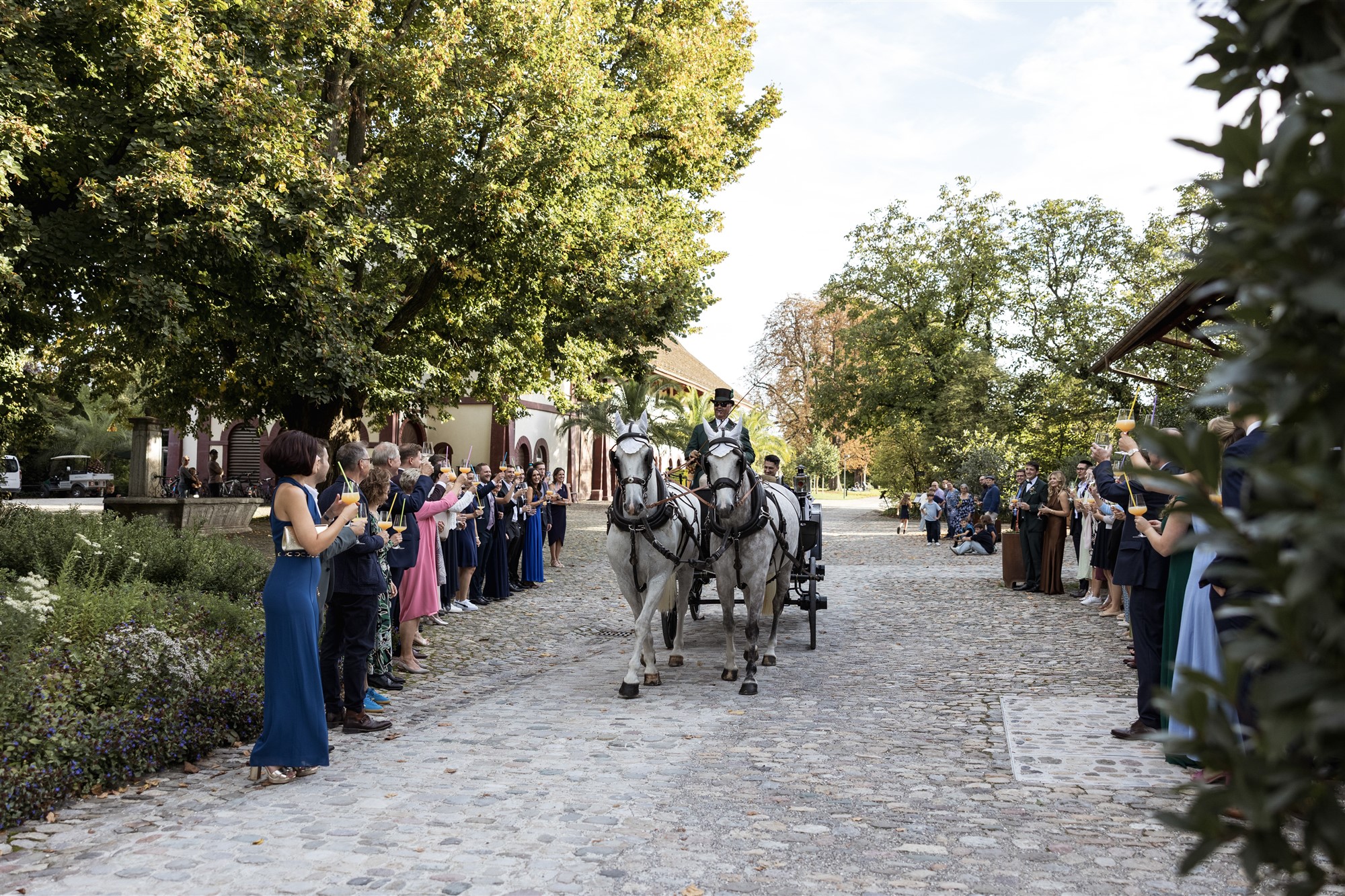 Hochzeit in den Merian Gärten - Ankunft mit der Pferdekutsche - Hochzeitsfotograf Basel Schweiz