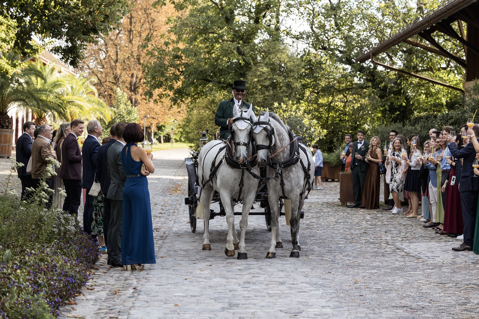 Hochzeit in den Merian Gärten - Ankunft mit der Pferdekutsche - Hochzeitsfotograf Basel Schweiz