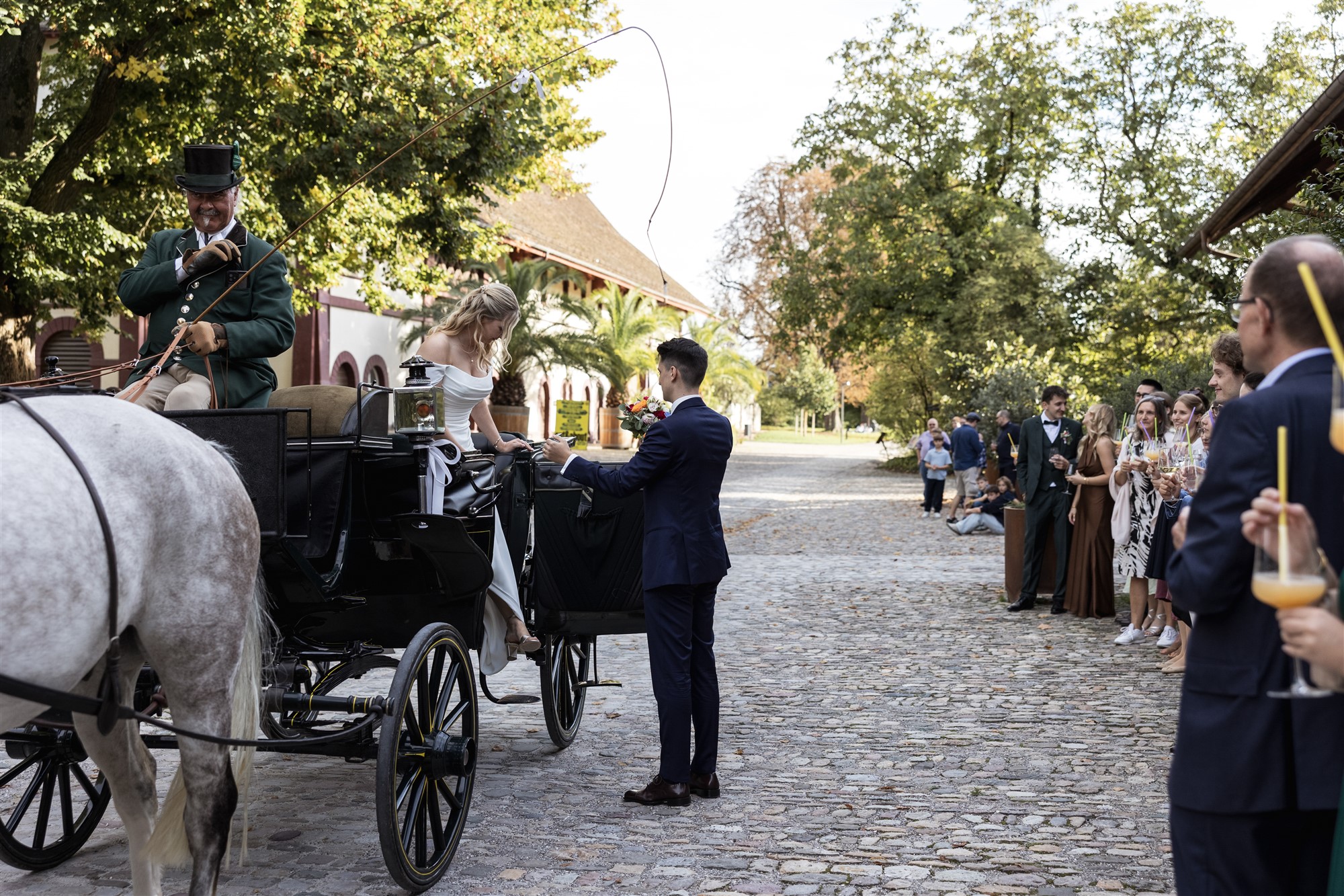Hochzeit in den Merian Gärten - Die Braut steigt aus der Pferdekutsche - Hochzeitsfotograf Basel Schweiz