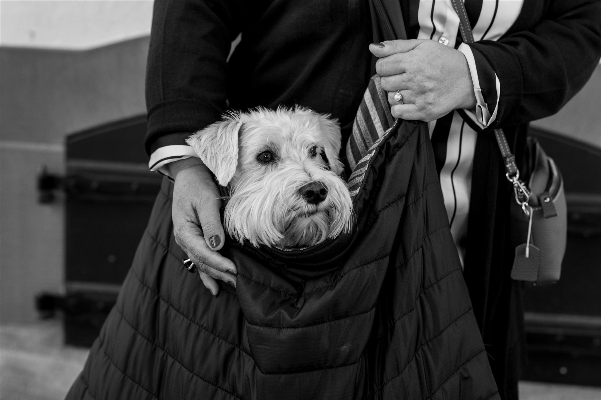 Begrüssung der Gäste - Ziviltrauung in Basel Rittergasse - Hochzeitsfotograf Basel Schweiz