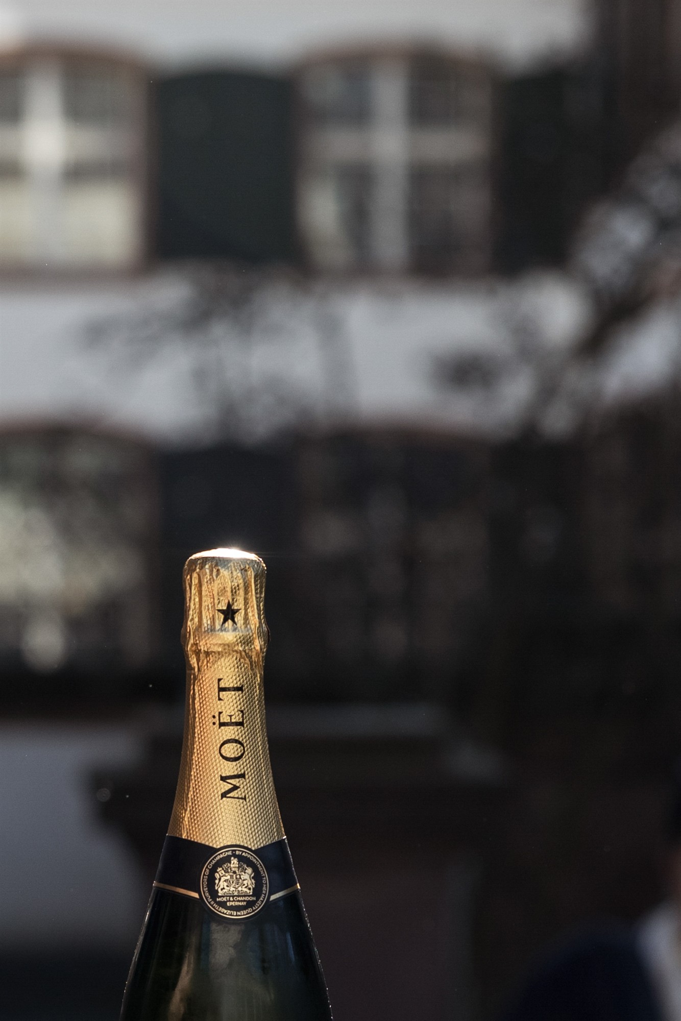 Apero im Garten vom Zivilstandsamt Basel - Hochzeitsfotograf Basel Schweiz