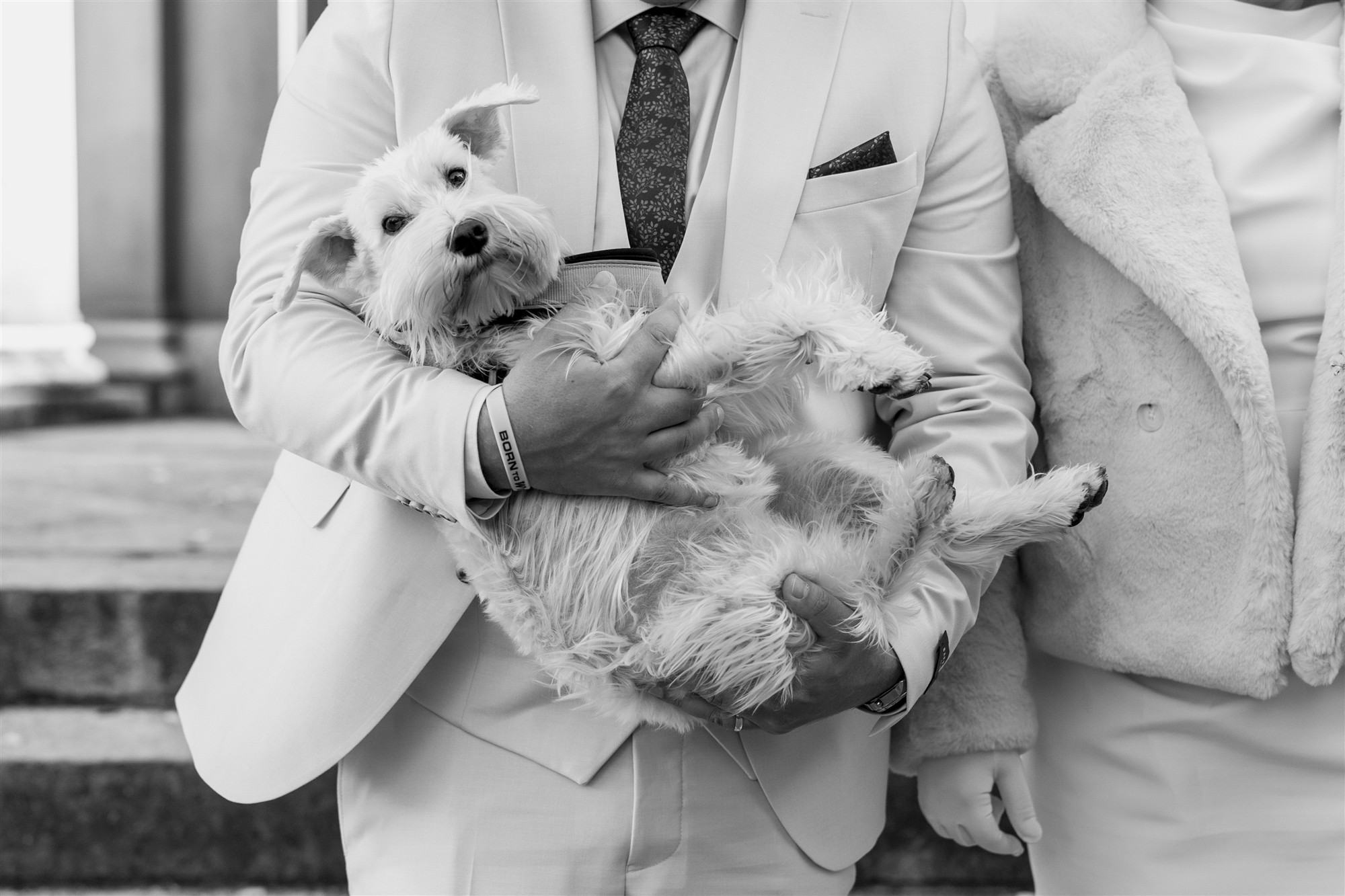 Das Hochzeitspaar mit Hund - Standesamt Hochzeit Basel - Hochzeitsfotograf Basel Schweiz
